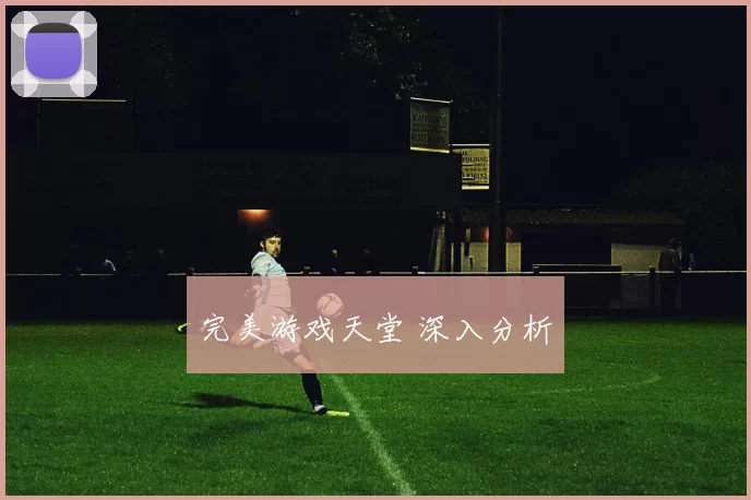 完美游戏天堂 深入分析
