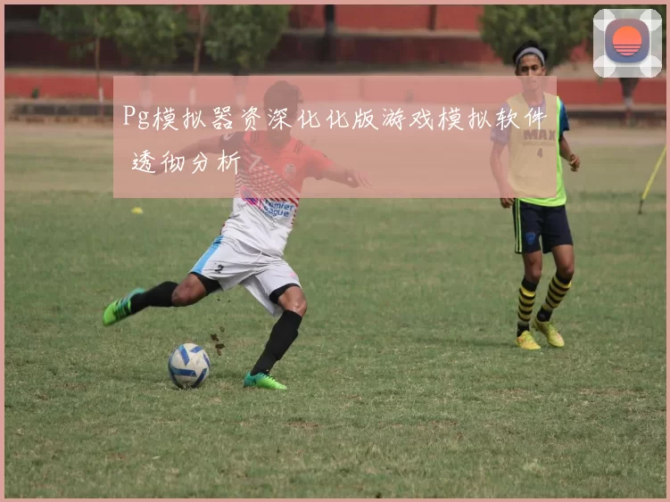Pg模拟器资深化化版游戏模拟软件 透彻分析
