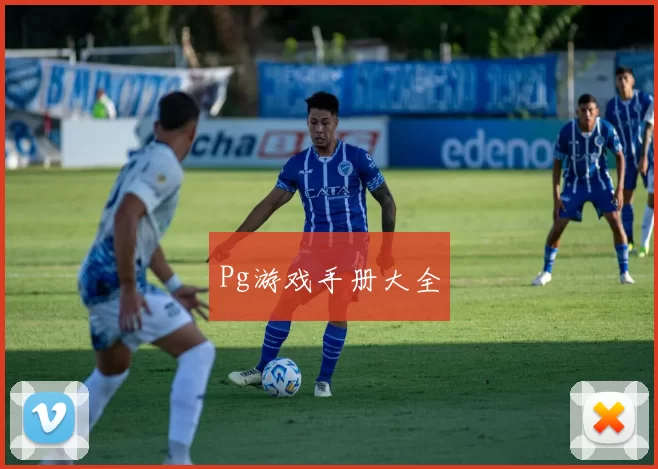 Pg游戏手册大全