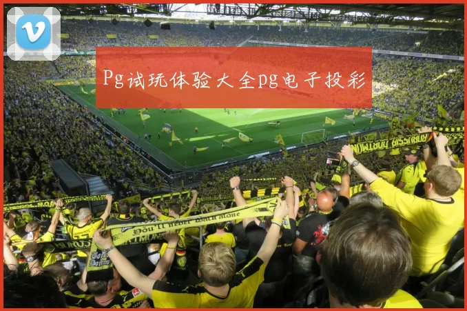 Pg试玩体验大全pg电子投彩