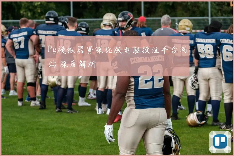 Pg模拟器资深化版电脑投注平台网站 深度解析