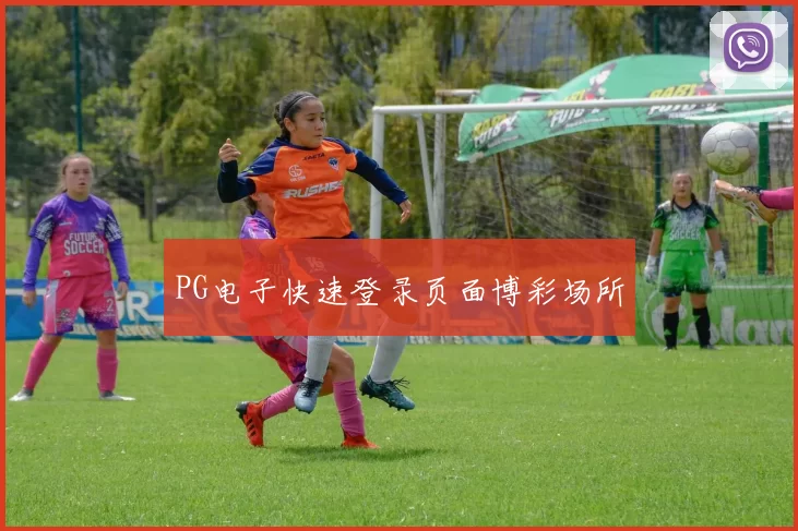 PG电子快速登录页面博彩场所