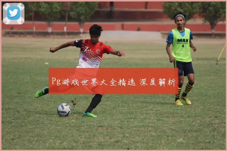 Pg游戏世界大全精选 深度解析