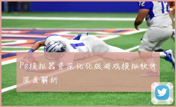 Pg模拟器资深化化版游戏模拟软件 深度解析