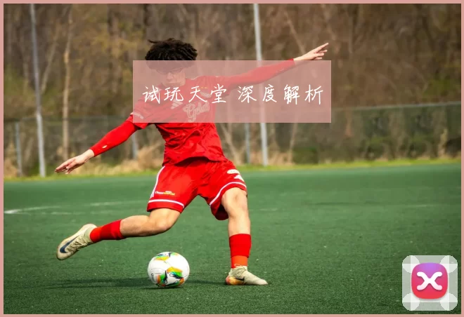 试玩天堂 深度解析